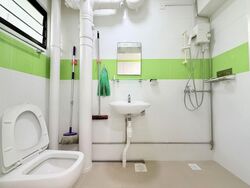 Blk 296B Compassvale Lodge (Sengkang), HDB 5 Rooms #535321921